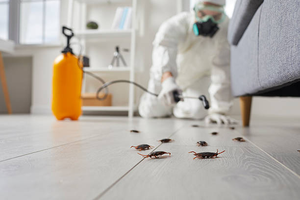 Trusted Rodent Control service in Glastonbury Center, CT - Nex Pest Control