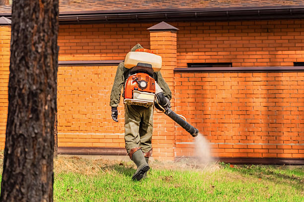 Trusted Cockroach Control service in Glastonbury Center, CT - Nex Pest Control